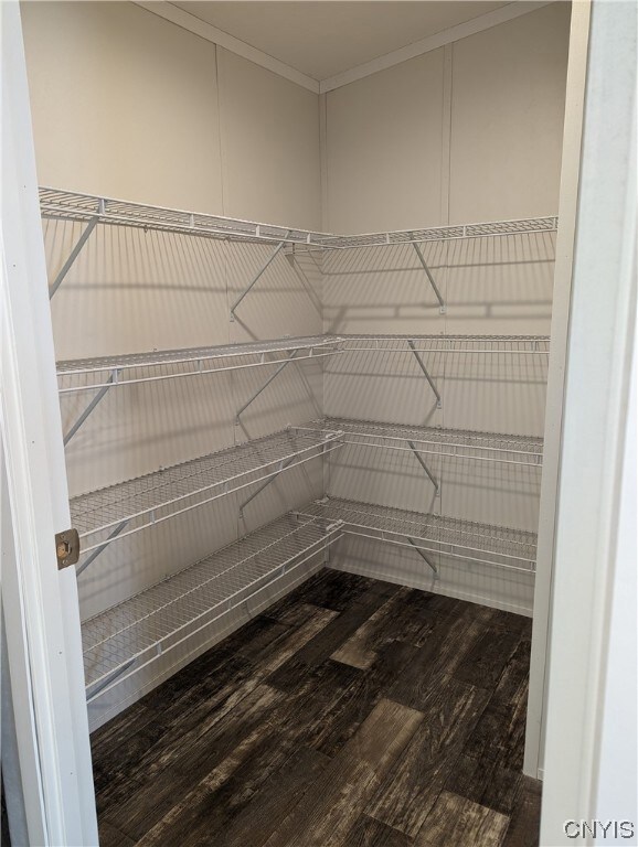 Large Walk in lighted Pantry with an abundance of