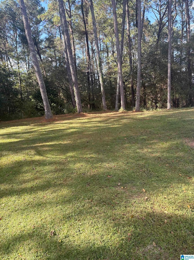 1055 Page Springs Rd, Blountsville, AL 35031 - photo 4