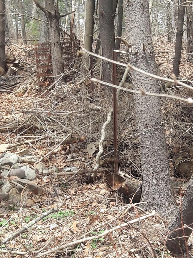 0 Christian Hill Rd, Dingman Township, PA 18337 - photo 4