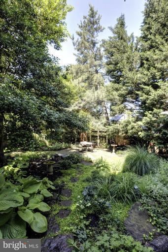 7608 Curtis St, Chevy Chase, MD 20815 - photo 6