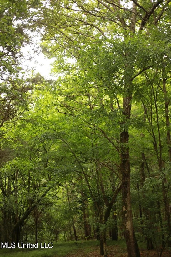 1b9be9605c6b13f4b9787c191b5a6949l-m16306