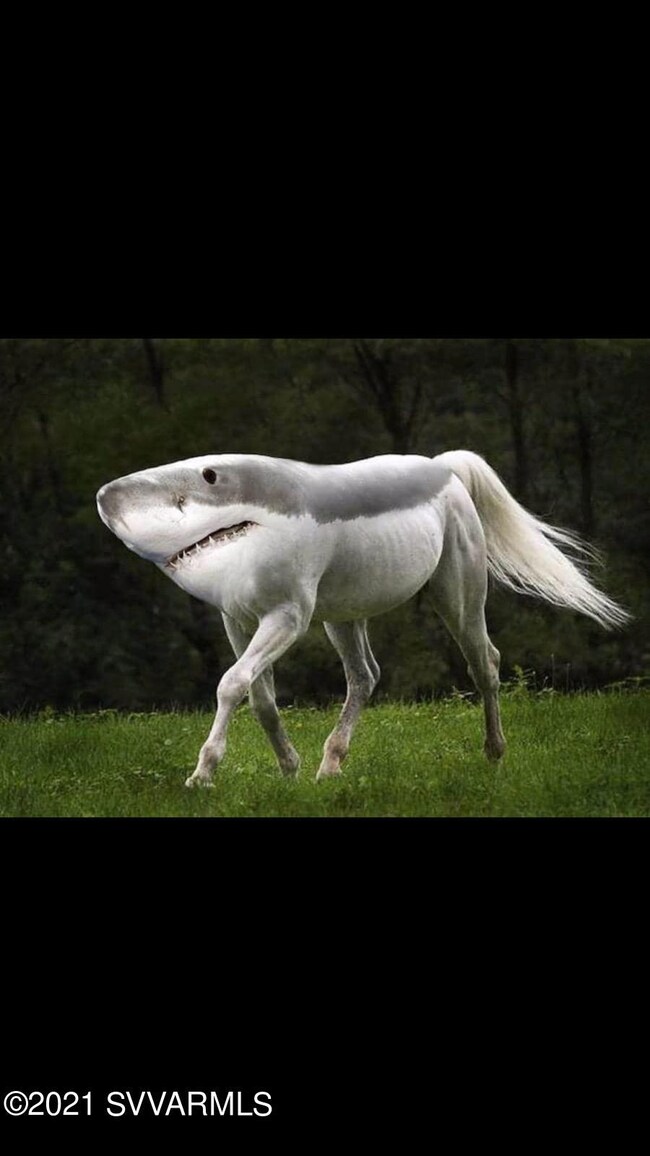 unlisted-address, Cornville, AZ 86325 - photo 5