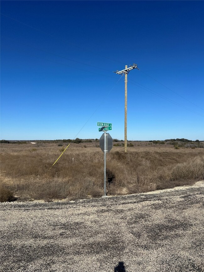 TBD Adobe Dr unit 78, Stephenville, TX 76401 - photo 5