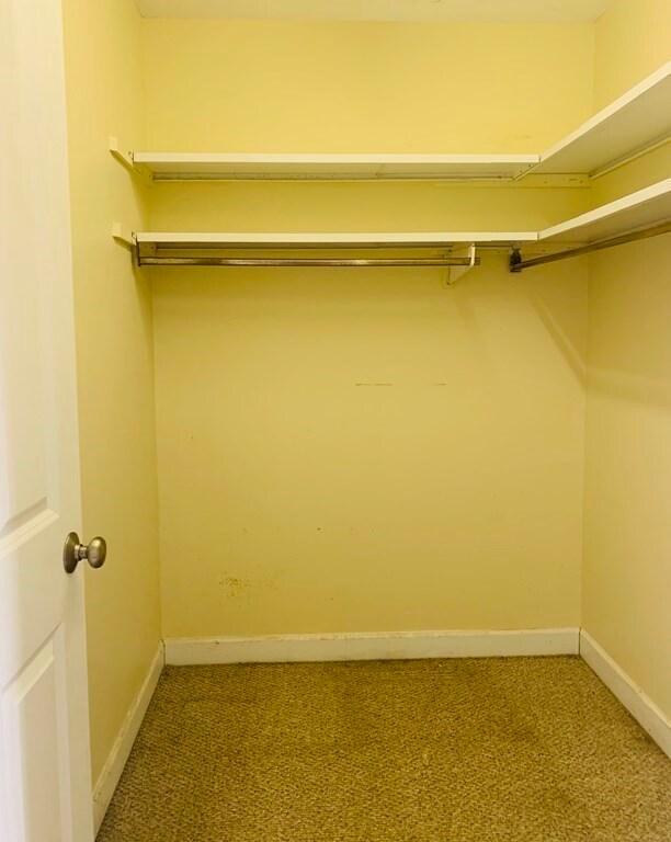 10 Arbor Way unit D, Holyoke, MA 01040 - photo 5