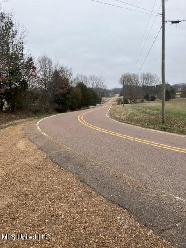 9002 Lot 2 Hudson Rd, Hernando, MS 38632 - photo 3