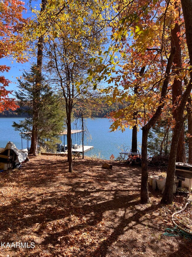 Parsons_dock