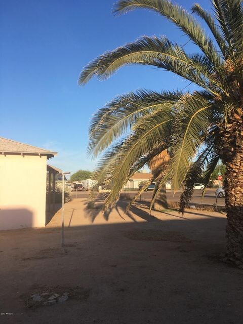 South side of the yard