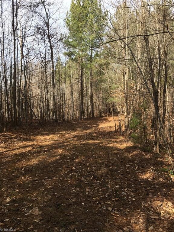 Tract 3 Moonlight Meadow Rd, Asheboro, NC 27205 - photo 6