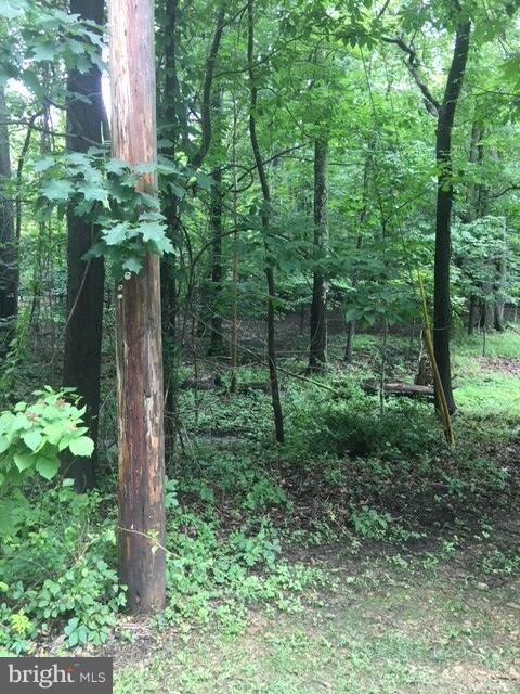 0 Cedar Ln unit 1002084256, Buckmarsh, VA 20135 - photo 4