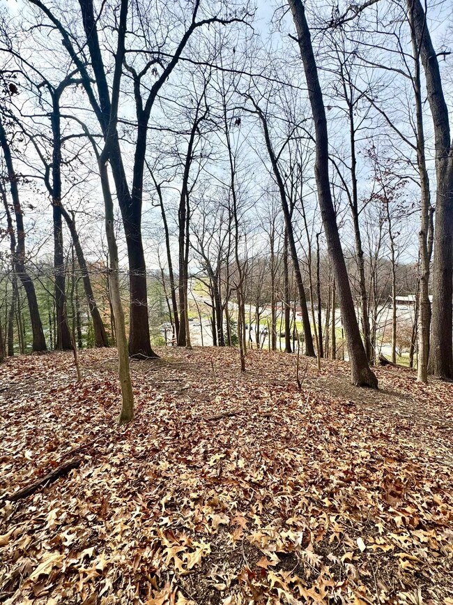 000 Chestnut Hill Dr, Ashland, KY 41101 - photo 6