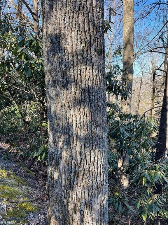 Lot E-15 Laurel Ridge Rd, Banner Elk, NC 28604 - photo 5