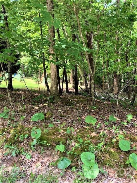 Lot 309 Sanderling Ct, Lake Lure, NC 28746 - photo 3