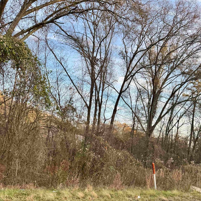 0 Old Furnace Rd, Boiling Springs, SC 29316 - photo 2