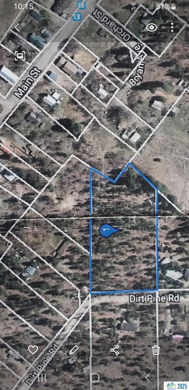 000 Dirt Pine St, Janesville, CA 96114 - photo 7