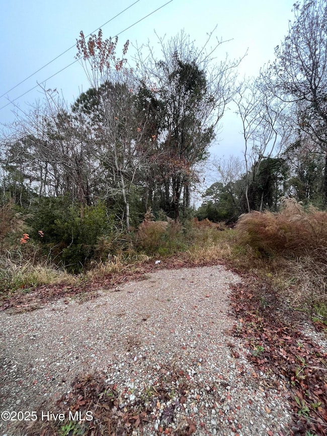 202 South, Beaufort, NC 28516 - photo 5