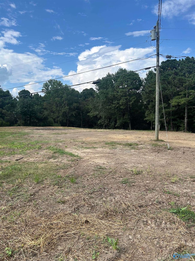 741 Haynes Rd NE, Arab, AL 35016 - photo 4