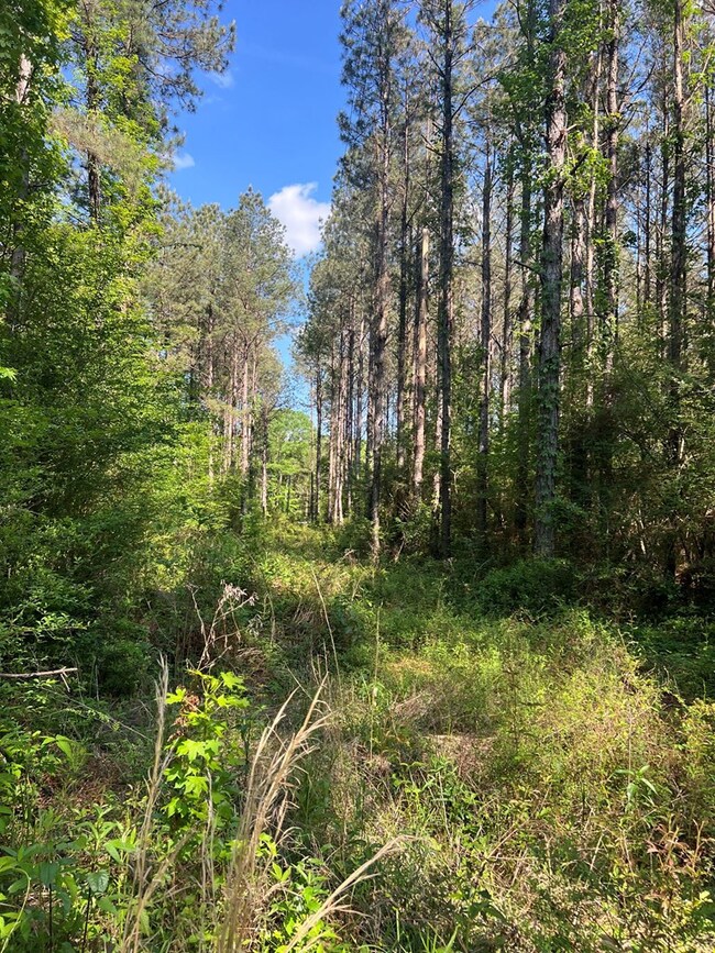 1049 Candy Ln, McComb, MS 39648 - photo 7