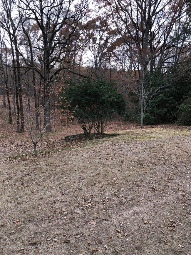 NW View