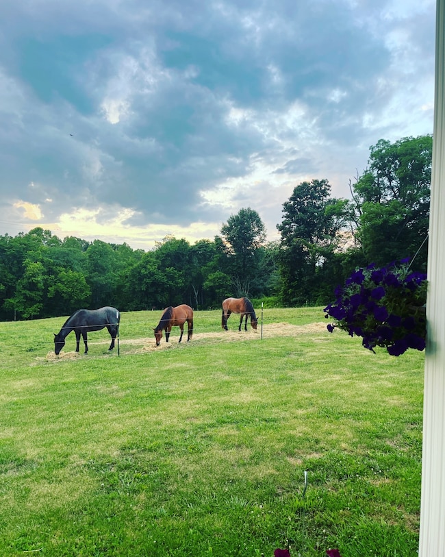 162 Yellow Springs Rd, Elizabethtown, IL 62931 - photo 7