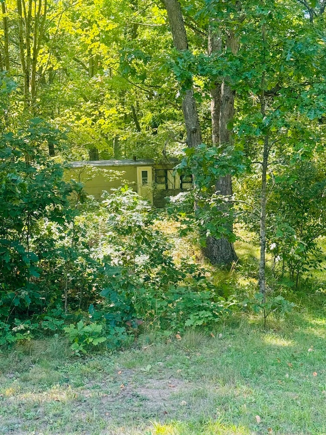 Older Trailer on property