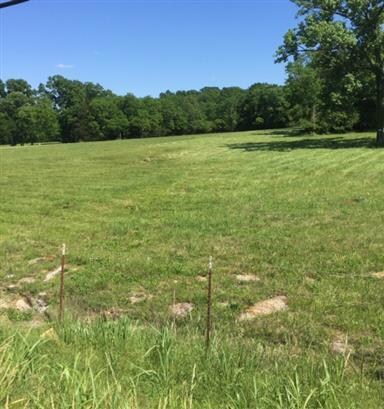 1019 Tennessee 64, Shelbyville, TN 37160 - photo 2