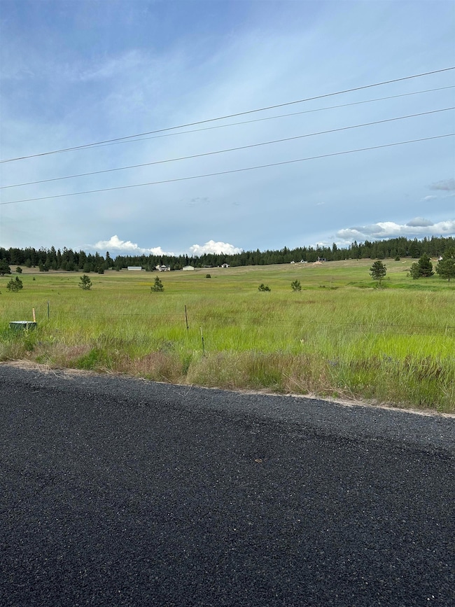0 N Whitetail Lane Hh & Gg Ln unit SAR202526630, Chattaroy, WA 99003 - photo 3