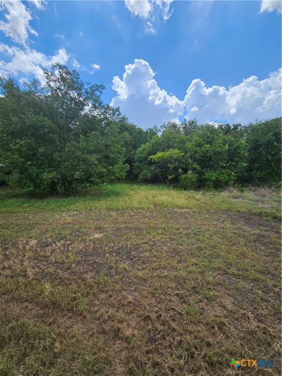 TBD Pendleton Troy Rd, Troy, TX 76579 - photo 6