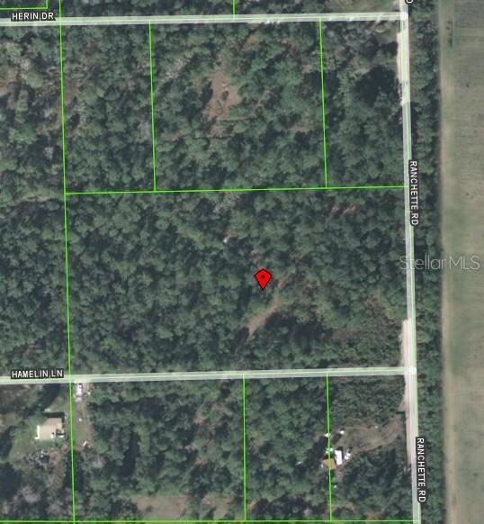 442 Ranchette Rd, New Smyrna Beach, FL 32168 - photo 2