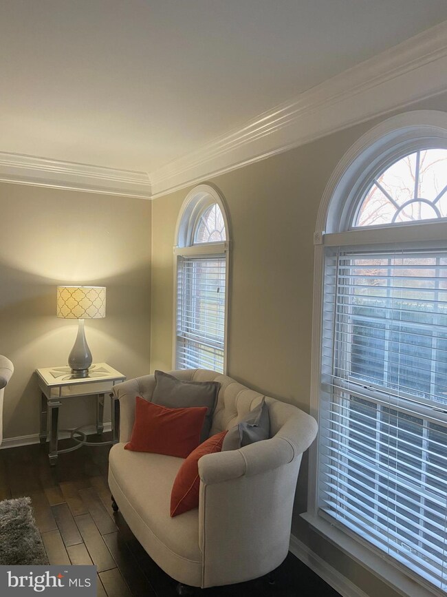 10103 Village Green Dr, Woodstock, MD 21163 - photo 6