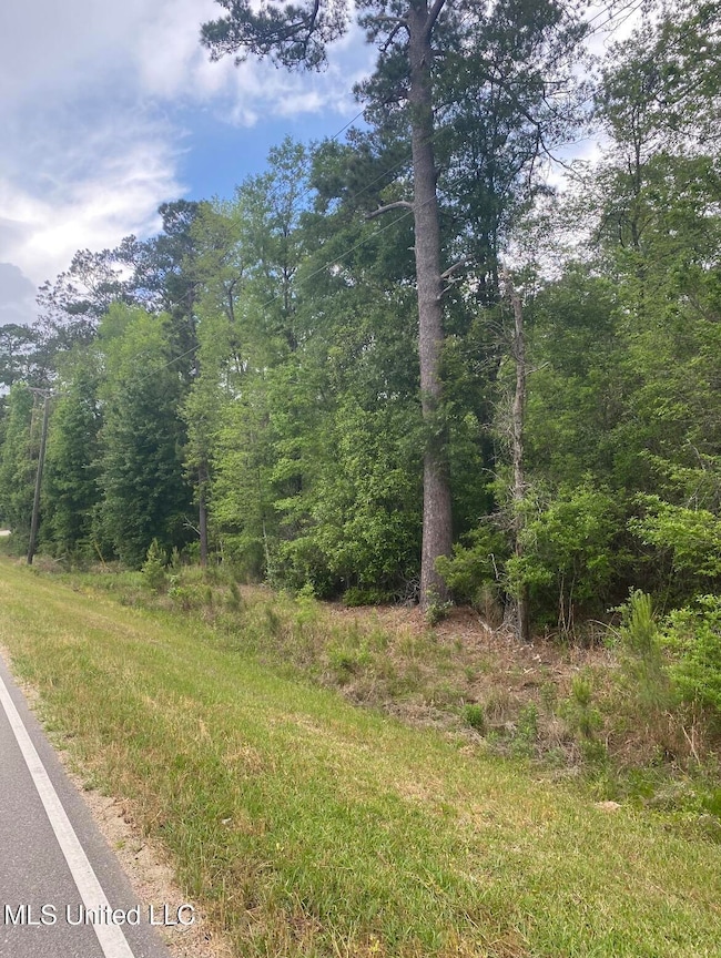 0 10 35 Ac Barton Agricola Rd, Lucedale, MS 39452 - photo 4