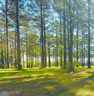 218 Cassie May Blvd, Oriental, NC 28571 - photo 2