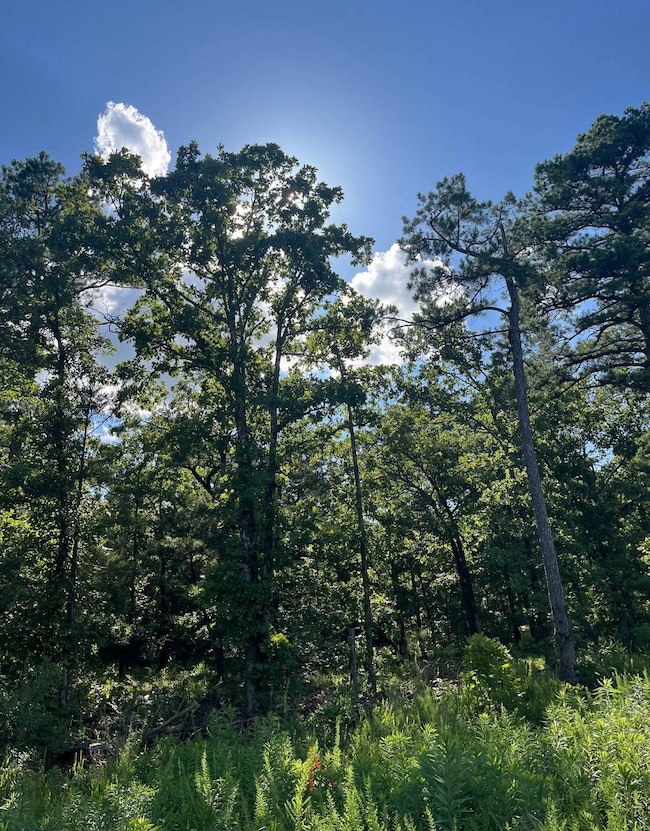 Tract 4 SE 1083 Road Ave, Red Oak, OK 74563 - photo 3