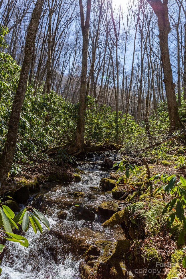 Lot 50 Bearwallow Ridge Trail unit 50, Qualla, NC 28779 - photo 3