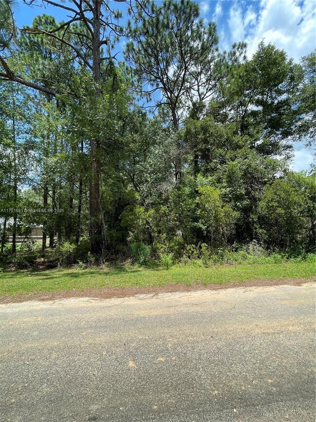 tbd SW 59th Ln, Dunnellon, FL 34431 - photo 5