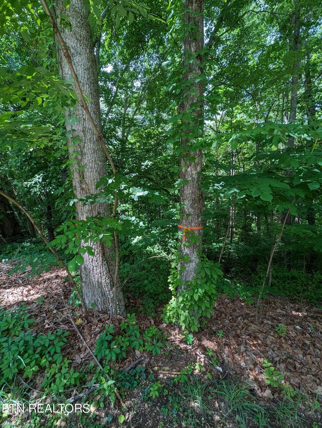 Property line marker