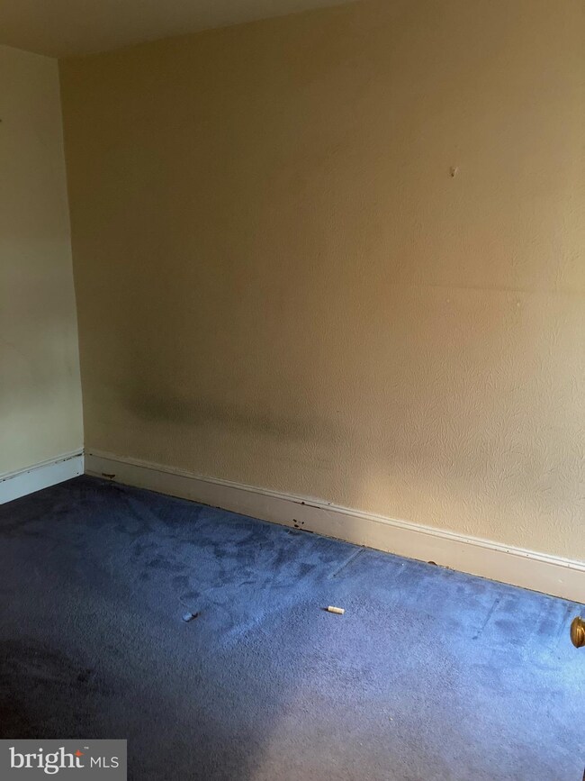 2818 Lefevre St, Philadelphia, PA 19137 - photo 6