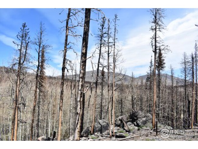 0 Greer Rd unit 966449, Bellvue, CO 80512 - photo 3