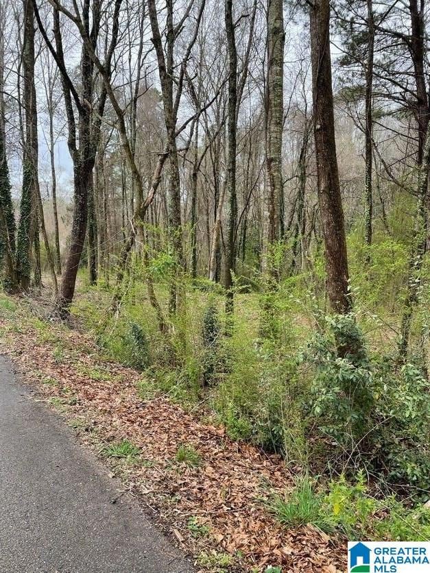 0 Osborn St unit 1 21413432, Heflin, AL 36264 - photo 7