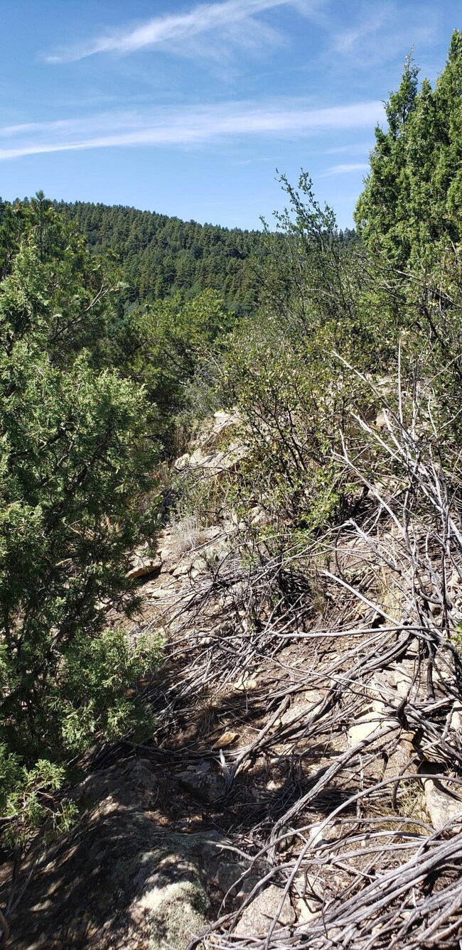 33179 Turkey Creek Ln unit Parcel B72, Trinidad, CO 81082 - photo 5