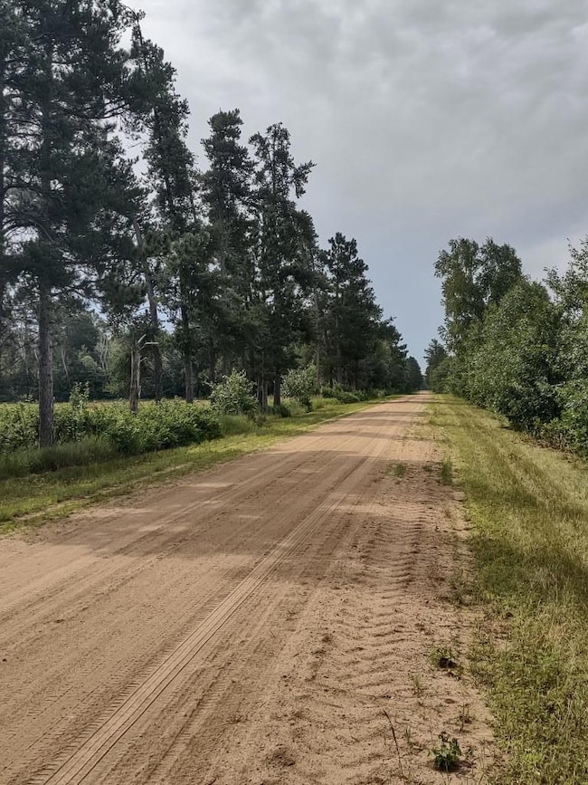 XXXX 159th Ave, Sebeka, MN 56477 - photo 6