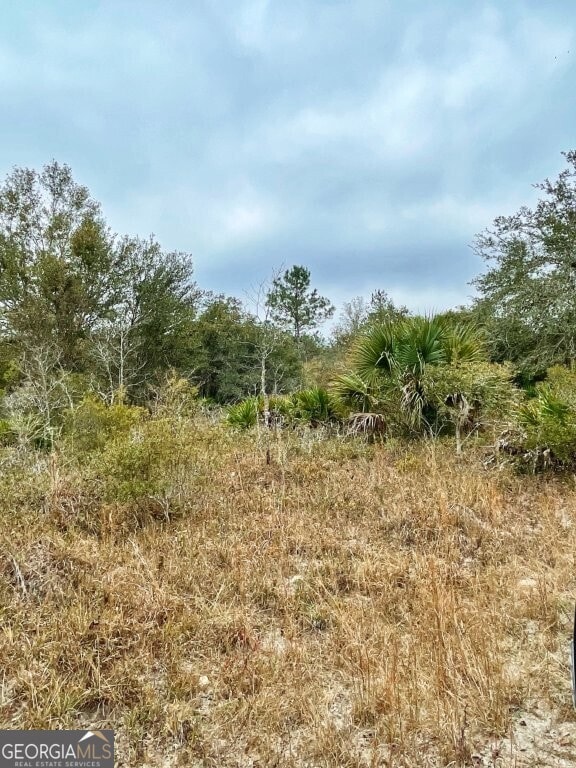 0 US Highway 98 unit 10649270, Perry, FL - photo 5