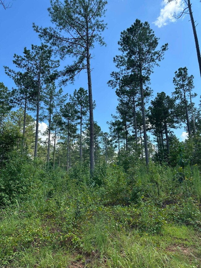 2470 Fears Rd, Madison, GA 30650 - photo 7