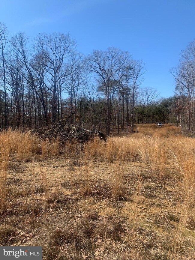 Lot C1 Cox Mill Rd, Orange, VA 22960 - photo 4