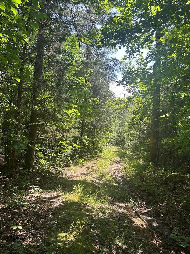 0 Coal Road Loop unit 117464, Crofton, KY 42217 - photo 2