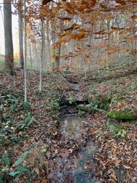 20201124175025705136000000-o