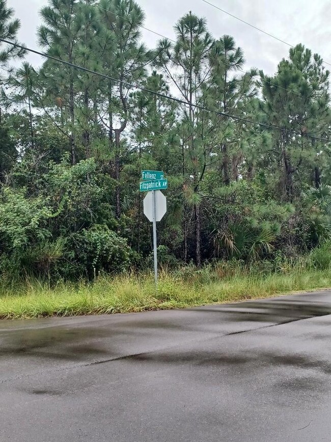 none Fellenz St Sw Fitpatrick Ave SW, Palm Bay, FL 32908 - photo 5
