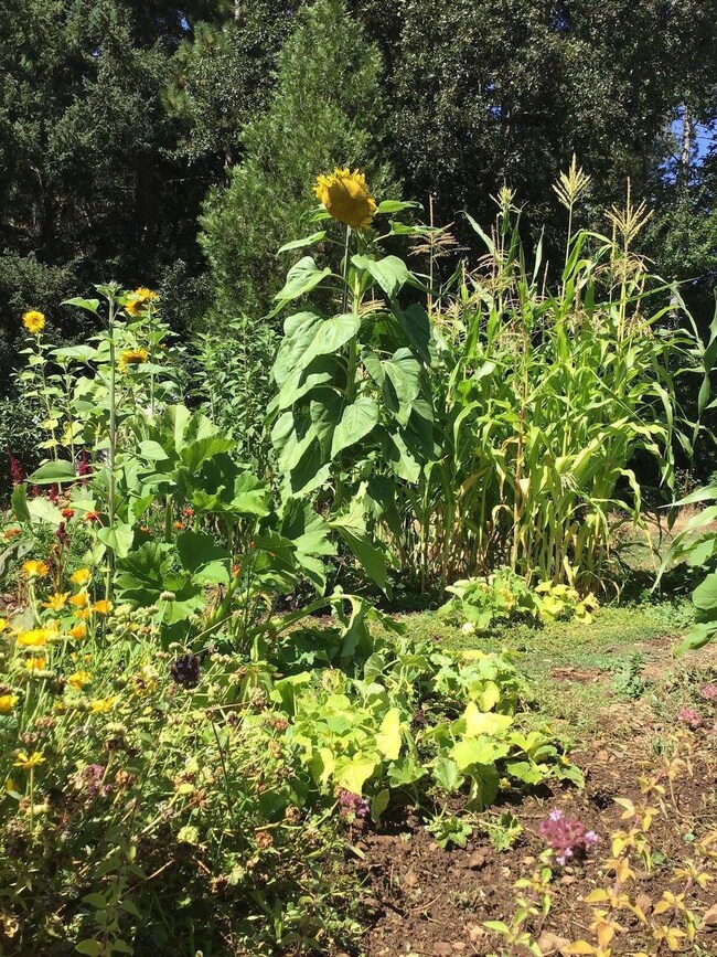 20241004210309317255000000-o