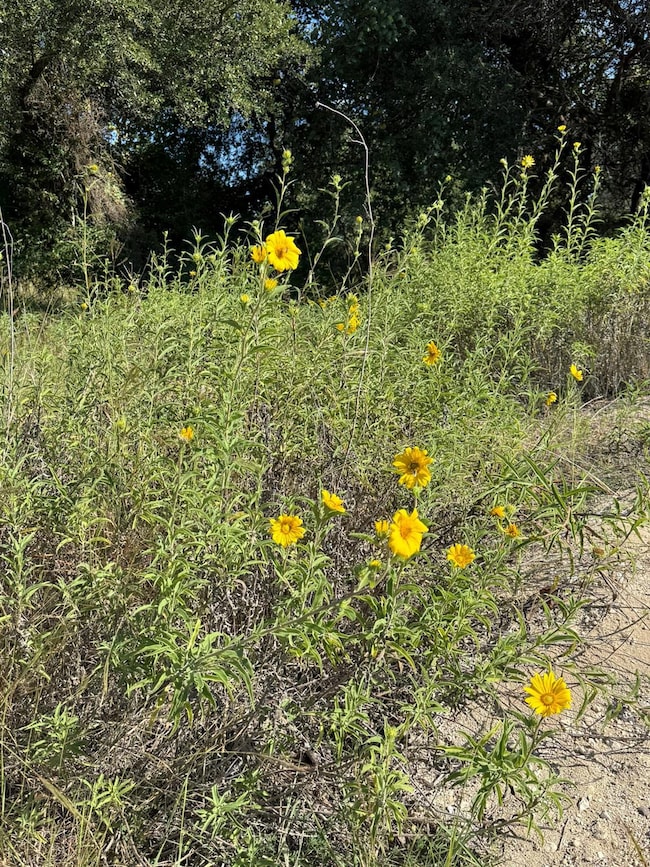 7534 W US Highway 290 Hwy, Hye, TX 78635 - photo 7