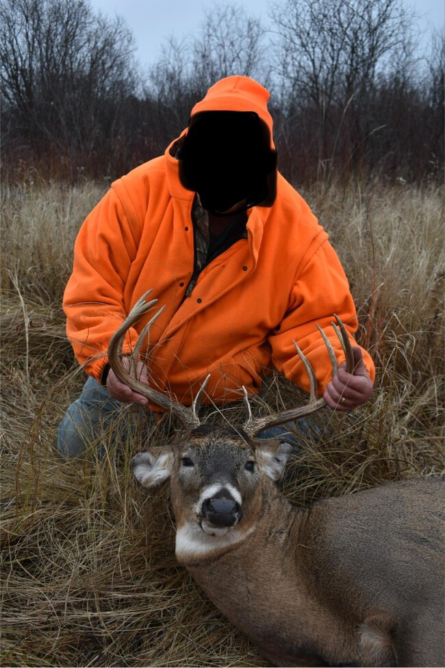 19146 320th St, Sebeka, MN 56477 - photo 2