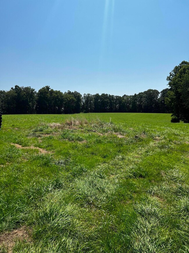 86 Cecil Underwood Ln unit 86, Canvas, WV 26662 - photo 2